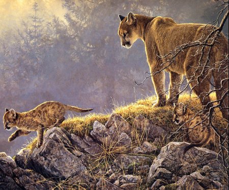 Robert Bateman — канадский художник-анималист.