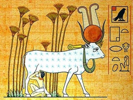 Богиня нут в древнем Египте