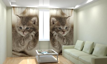 Шторы с котятами