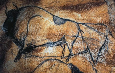 Пещера Шове Наскальная живопись