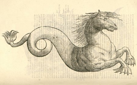 Улисс Альдрованди морские чудовища