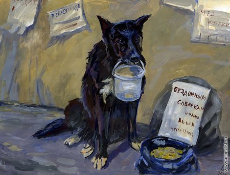 Бездомные животные картина