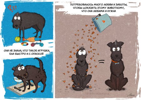 Комикс про собаку из приюта