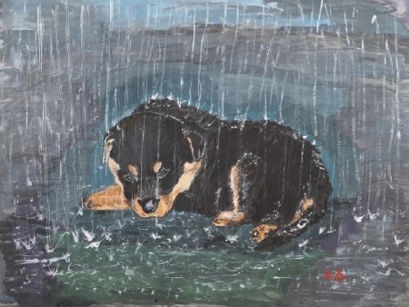 Собака под дождем