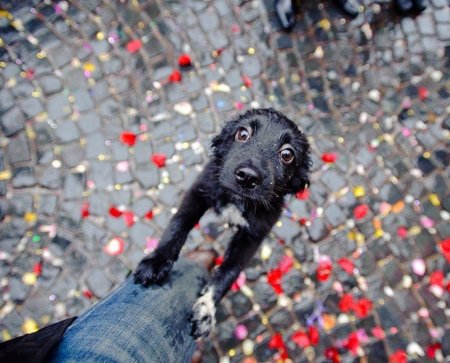 Бен Хайне карандаш против камеры