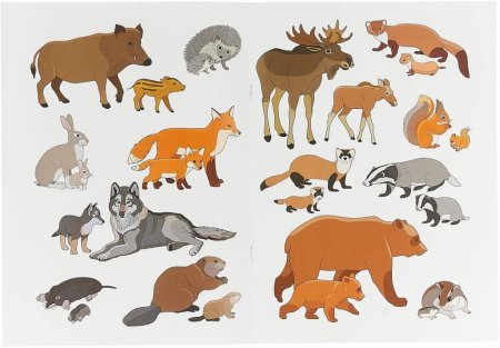 Карточки. Животные России