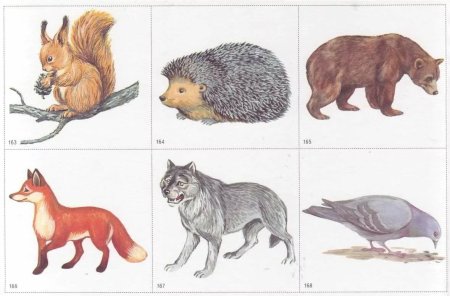 Лось раскраска