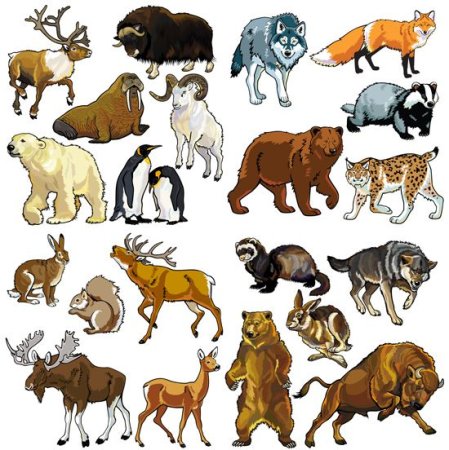 Пятнистый олень раскраска