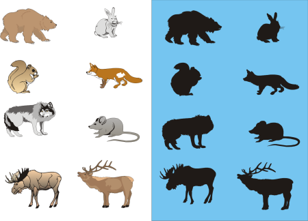 Зарисовки диких животных