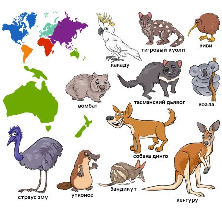 Животные Австралии мультяшные
