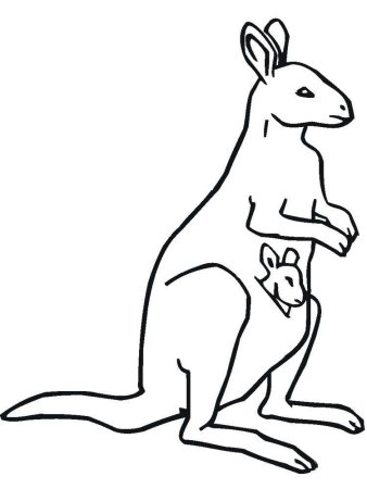 Кенгуру контур