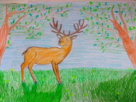 Флора и фауна 4 класс рисование