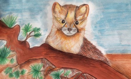 Красная книга Нижегородской области обложка