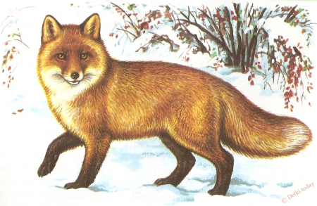 Проект красная книга Нижегородской области