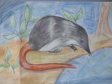 Проект красная книга Нижегородской области