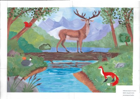 Рисунки из красной книги