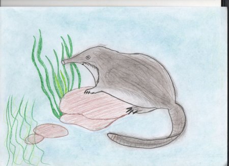 Рисунок на тему животные