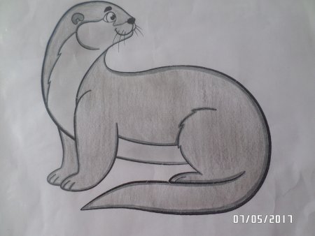 Картинки зверей карандашом