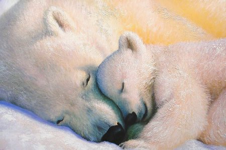 Медведица спит с медвежатами