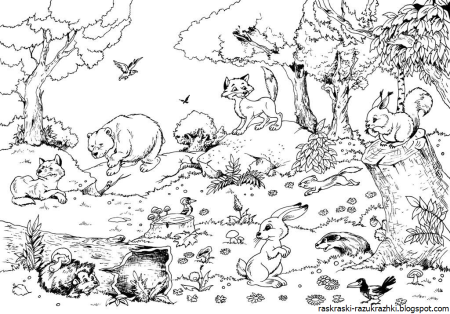 Рисунок на тему животные