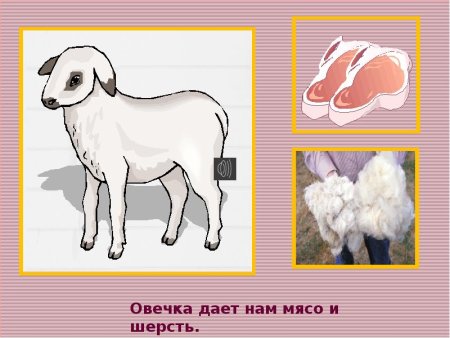 Нарисовать несуществующее животное