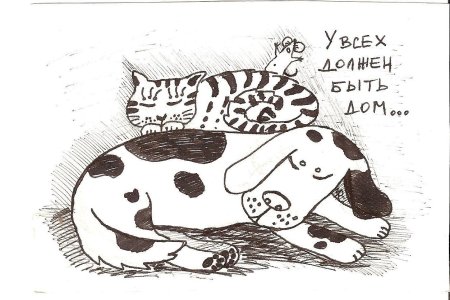 Психологические тесты МВД несуществующие животное