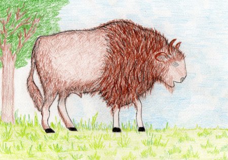 ЗУБР рисунок цветной