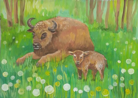 Рисование зубра