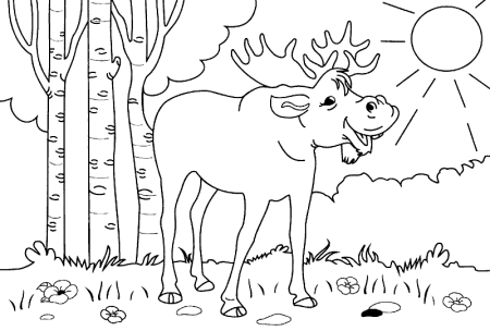 Разукрашка природы живности