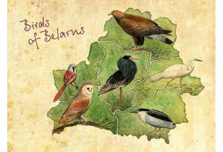 Животный и растительный мир Беларуси рисунки
