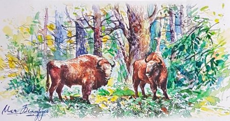 Беловежская пуща картина