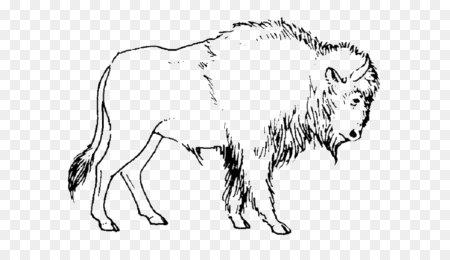 ЗУБР раскраска