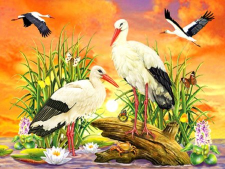 Алмазная мозаика Журавлиная пара
