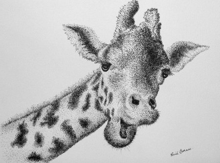 Рисование животных по точкам