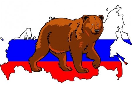Медведь рисунок