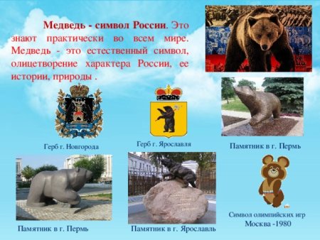 Медведь раскраска