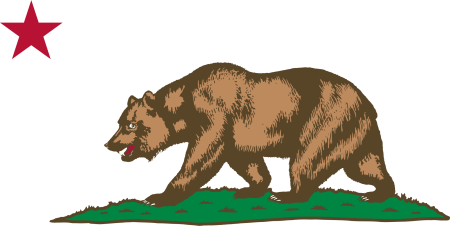 Медведь чб для детей