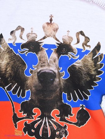 Бурый медведь символ России