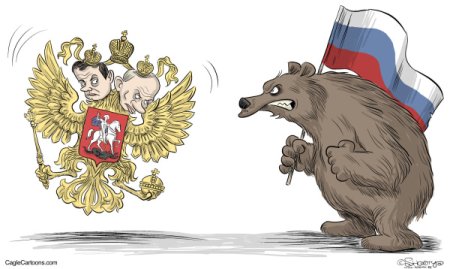 Трафарет медведя