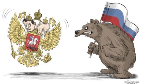 Медведь для детей
