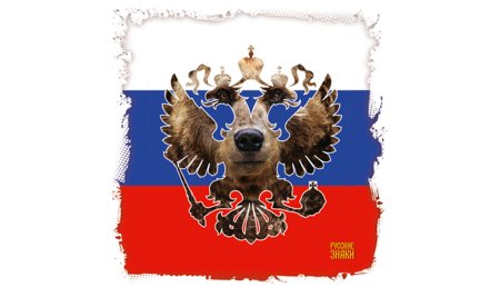 Символ Олимпийских игр медведь