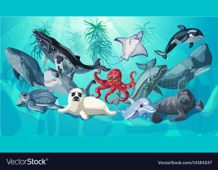 Млекопитающие морские русинки