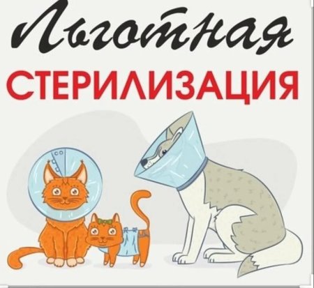 Стерилизация животных