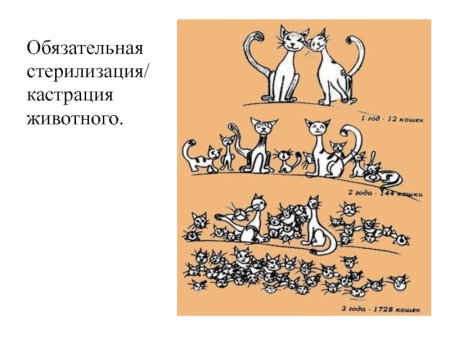 Стерилизация рисунок