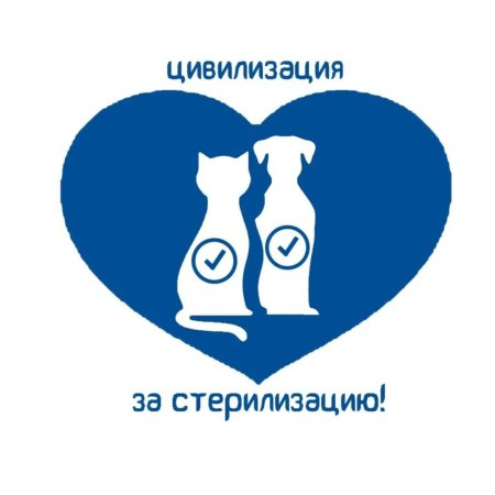 Льготная стерилизация животных