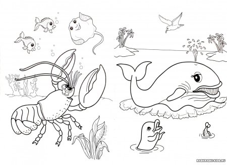 Обитатели рек морей и океанов рисунок