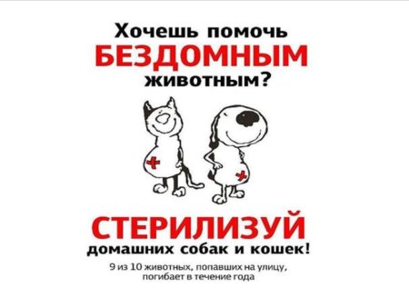 Стерилизация животных
