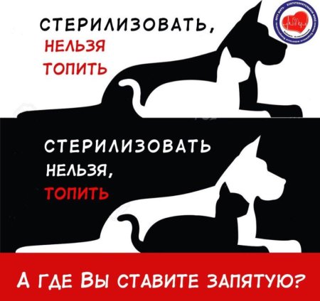 Стерилизация животных