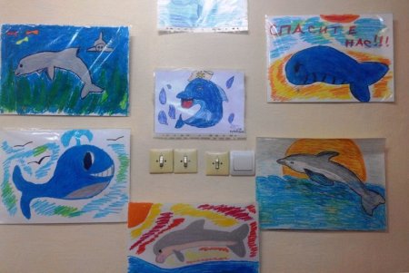 Постер в защиту рыб