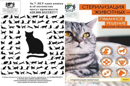 Листовки стерилизация животных